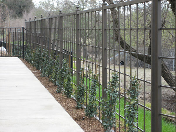 Wrought Iron Fence San Diego, CA