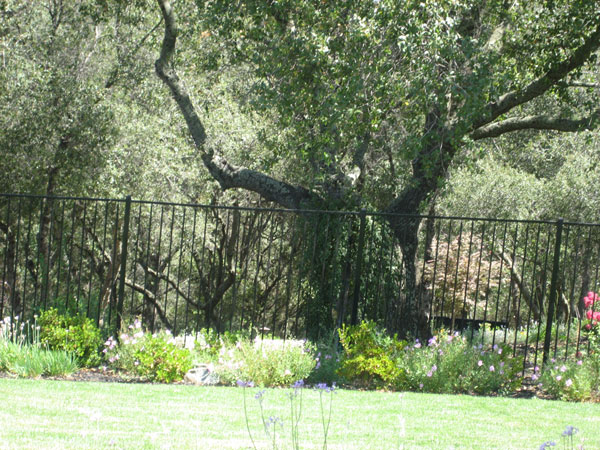 Wrought Iron Fence San Diego, CA